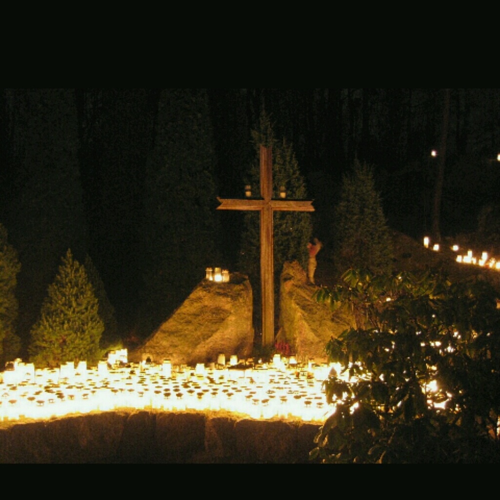 Meet your Posher, Alison